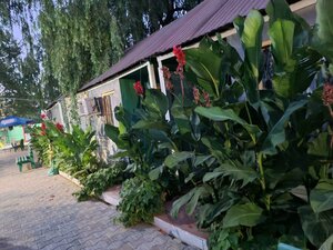 Pionerskiy prospekt, 68/1, Anapa: photo