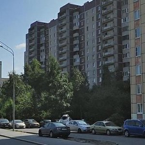 Shkolnaya Street, 88к2, Saint Petersburg: photo