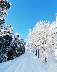 Novaya ulitsa, 1, Republic of Adygea: photo