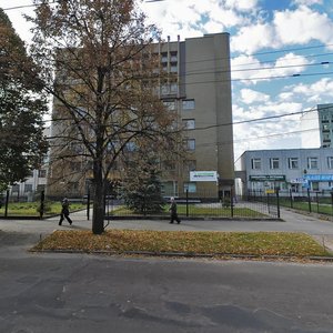 Vulytsia Oleksandra Molodchoho, 46 ، : صورة
