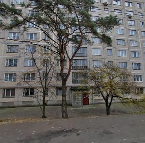 Anatoliia Solovianenka Street, 16, Kyiv: photo