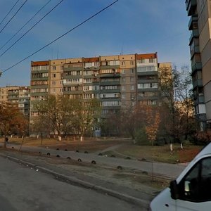 Heroiv Stalinhrada Avenue, 38, Kyiv: photo