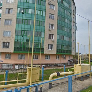 Lermontova Street, 49А ، : صورة