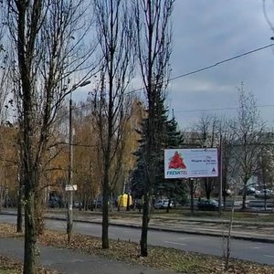 Vatslava Havela Boulevard, 21, Kyiv: photo