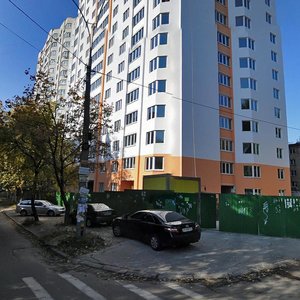 Mykoly Krasnova Street, 19, Kyiv: photo