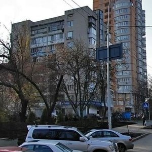 Profesora Pidvysotskoho Street, 6, Kyiv: photo