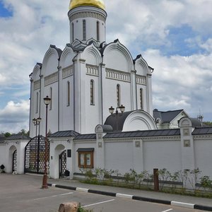 Москва и Московская область, Село Усово, 102с3: фото