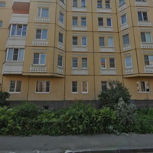 Kolpinskoye shosse, 61 ، سان بطرسبرغ: صورة