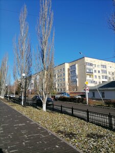 Омск, Спартаковская улица, 3: фото