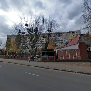 Hnata Yury Street, 16, Kyiv: photo