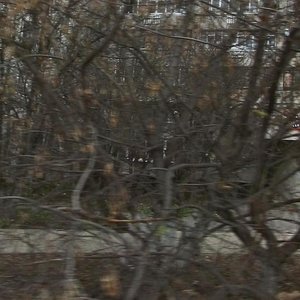 Tereshkovoy Street, 10 ، نيجني نوفغورود: صورة