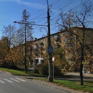 Pushkinskaya Street, 249, Izhevsk: photo