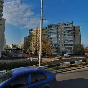 Heroiv Dnipra Street, 62, Kyiv: photo