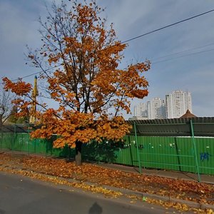 Yuriia Shumskoho Street, 5, Kyiv: photo