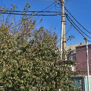 Krymskaya Street, 122, : foto
