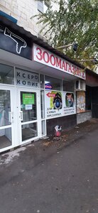 Ulitsa Kirova, 114, Volgograd: photo