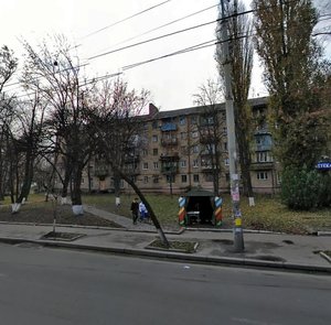 Vyshhorodska Street, 31, Kyiv: photo