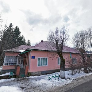 Vulytsia Borkaniuka, 7, Zakarpattia District: photo