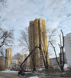 Екатеринбург, Улица Вилонова, 8: фото