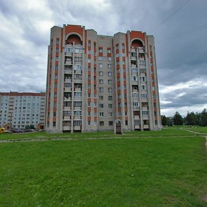 Narodnaya Street, 8А, Pskov: photo