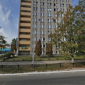 Soborna vulytsia, 105Б, Irpin: photo