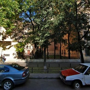 Санкт‑Петербург, 10-я линия Васильевского острова, 45: фото