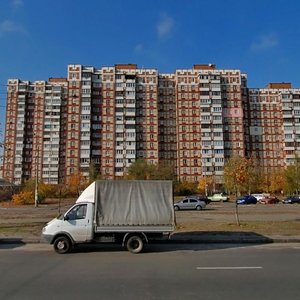 Volodymyra Maiakovskoho Avenue, 79, Kyiv: photo