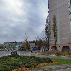 Henerala Zhmachenka Street, 18, Kyiv: photo