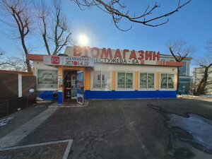 Bestuzheva Street, 6А, Vladivostok: photo