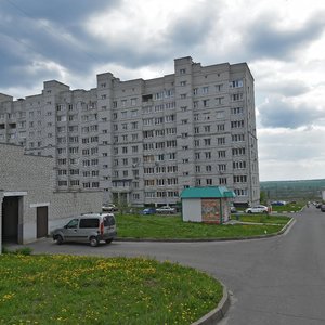 Губкин, Улица Петра Великого, 6: фото