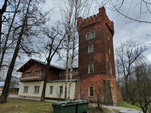 Павловск, Елизаветинская улица, 2: фото