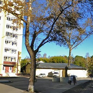 Tarkhanova Street, 6А, Penza: photo