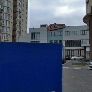 Koltsova Boulevard, 14М, Kyiv: photo