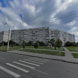 Vulytsia Hvardiitsiv-Shyronintsiv, 102, Kharkiv: photo