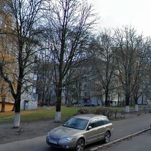 Heroiv Sevastopolia Street, 29, Kyiv: photo