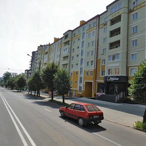 Черновцы, Улица Героев Майдана, 160: фото