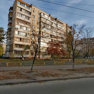 Heroiv Stalinhrada Avenue, 56, Kyiv: photo