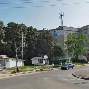 Львов, Пасечная улица, 55: фото