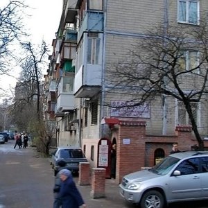 Vatslava Havela Boulevard, 19, Kyiv: photo