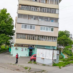 Dobrovolskogo Street, 17, Vladivostok: photo