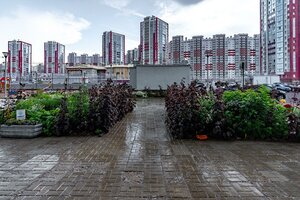 Marshala Kazakova Street, 72к1с1, Saint Petersburg: photo