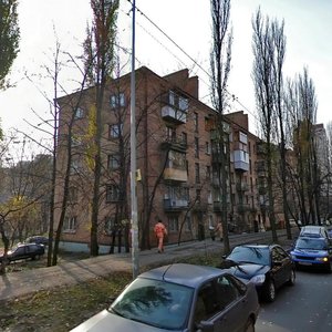Profesora Pidvysotskoho Street, 12, Kyiv: photo