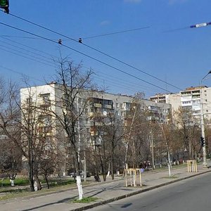 Holosiivskyi Avenue, 110, Kyiv: photo