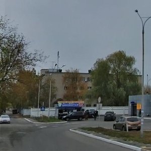 Tashkentska Street, 60, Kyiv: photo