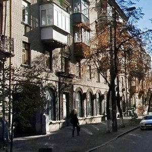 Voloska Street, 42, Kyiv: photo