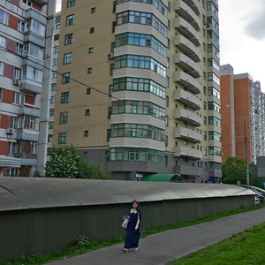 Izmaylovskіy Boulevard, 46, Moscow: photo