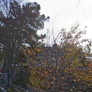 Pionerskaya Street, 17, Gelendgik: photo