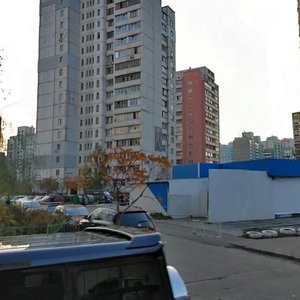 Mykhaila Hryshka Street, 8В, Kyiv: photo