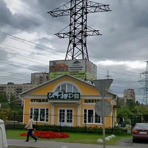 Санкт‑Петербург, Ириновский проспект, 9А: фото