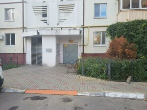 Koneva Street, 8, Belgorod: photo